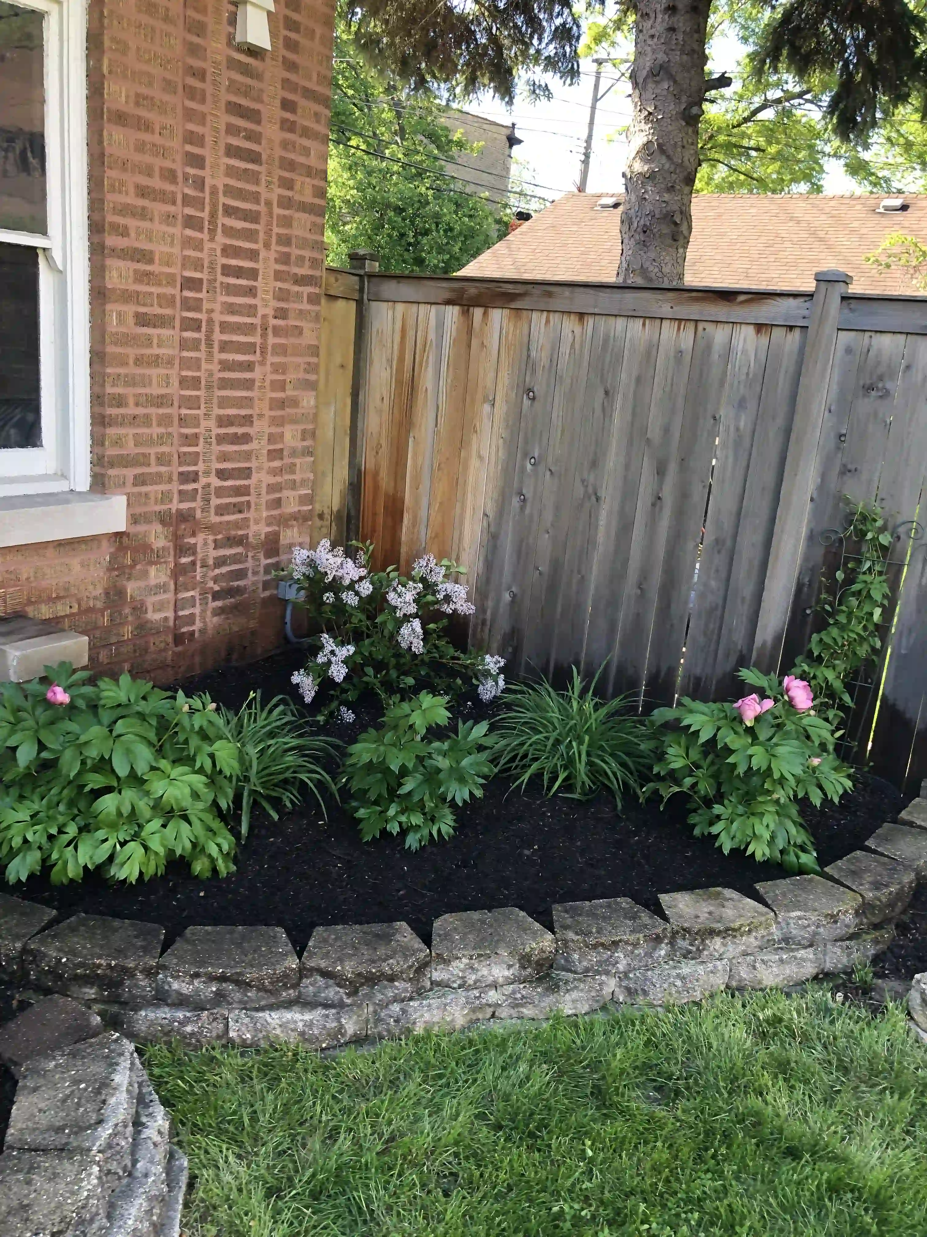 Garden Design/Installation