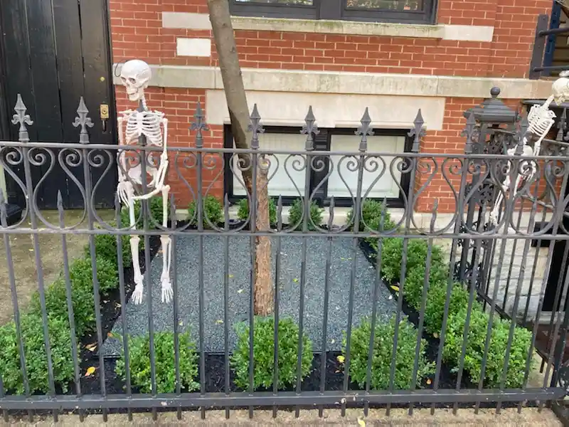 Garden Design/Installation