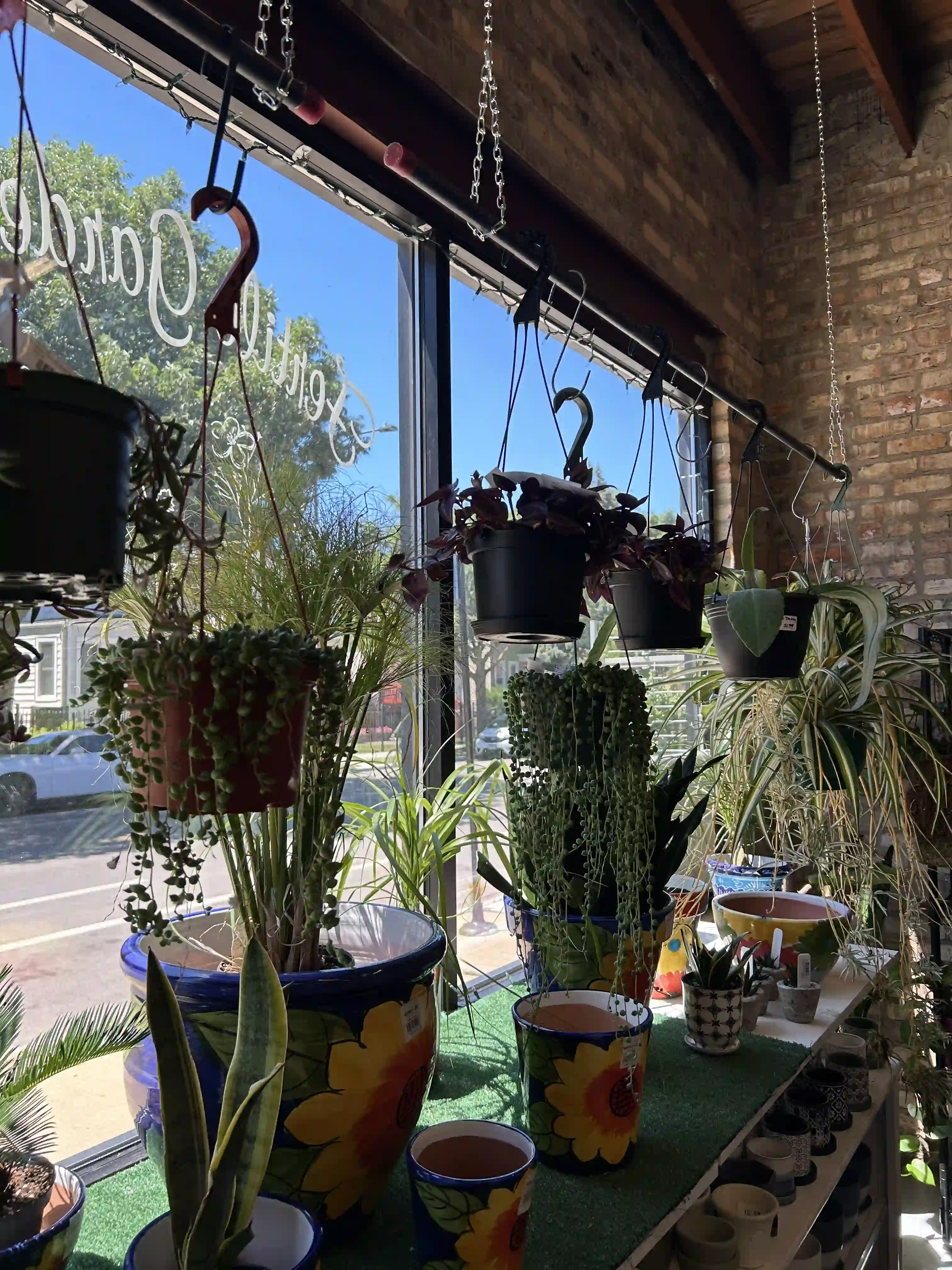 Summer Container