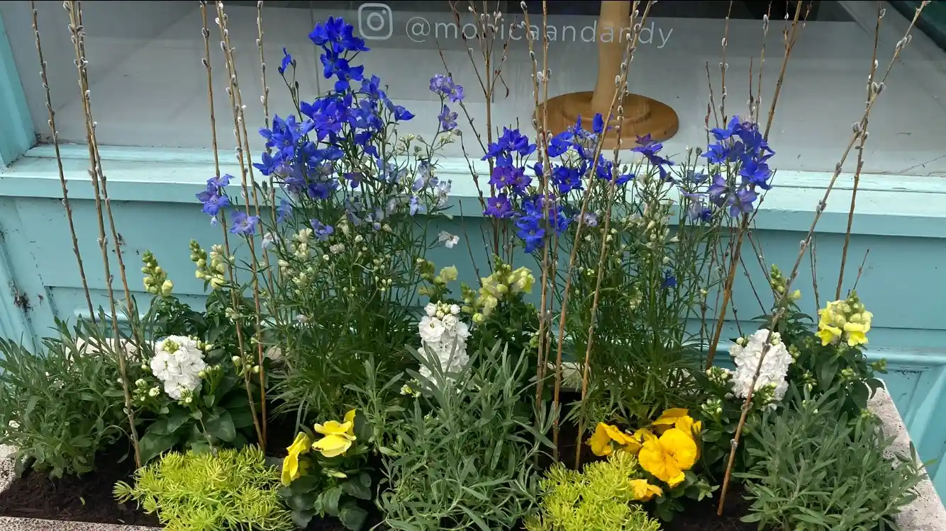 Summer Container