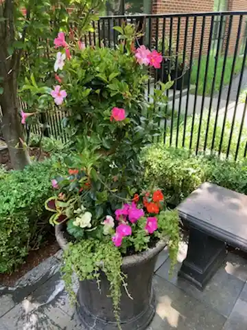 Summer Container