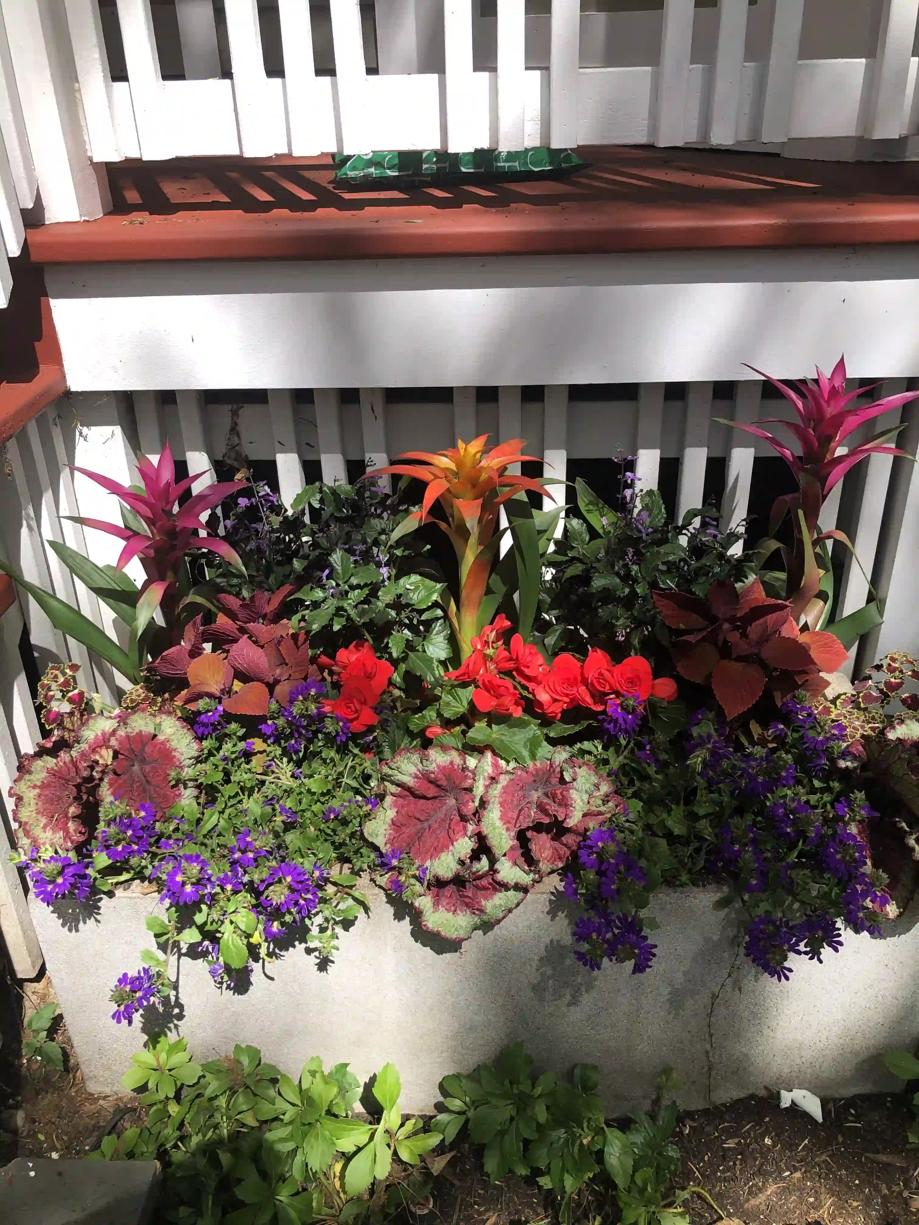 Summer Container