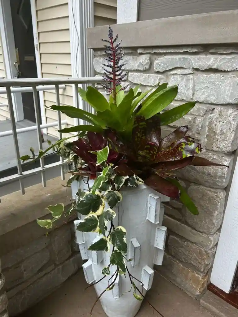 Summer Container