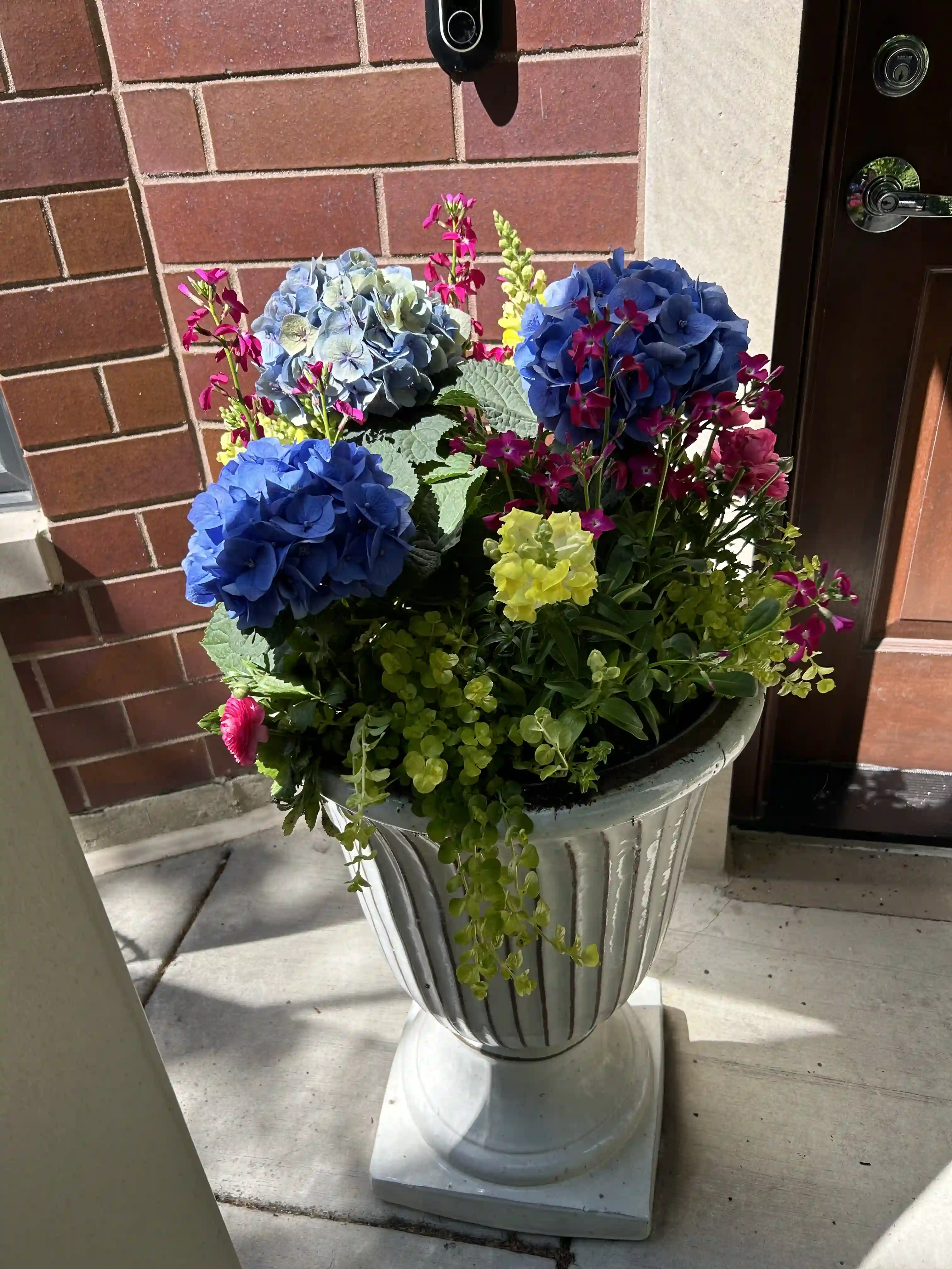 Summer Container